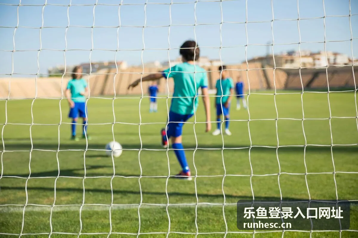 乐鱼登录入口网址访问路径指引示意画面